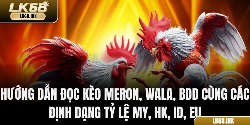Hướng dẫn đọc kèo Meron, Wala, BDD cùng các định dạng tỷ lệ MY, HK, ID, EU