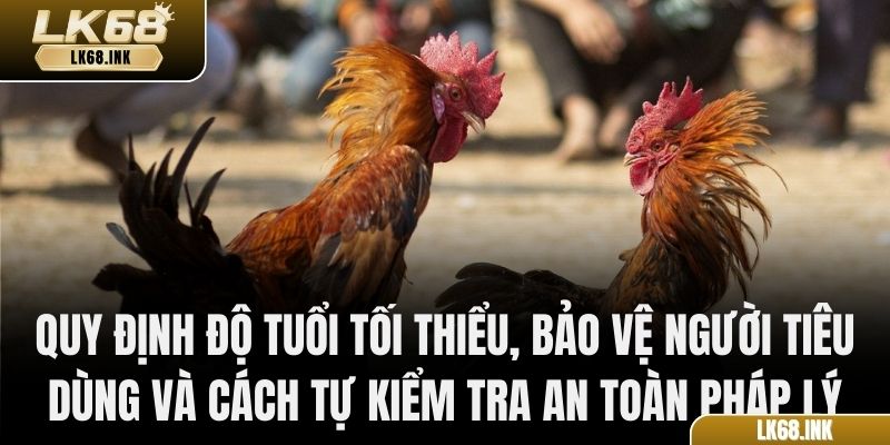 Quy định độ tuổi tối thiểu, bảo vệ người tiêu dùng và cách tự kiểm tra an toàn pháp lý