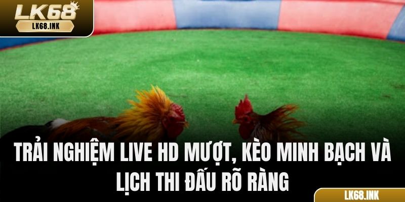 Trải nghiệm live HD mượt, kèo minh bạch và lịch thi đấu rõ ràng