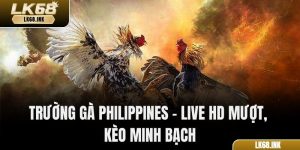 Trường Gà Philippines - Live HD Mượt, Kèo Minh Bạch