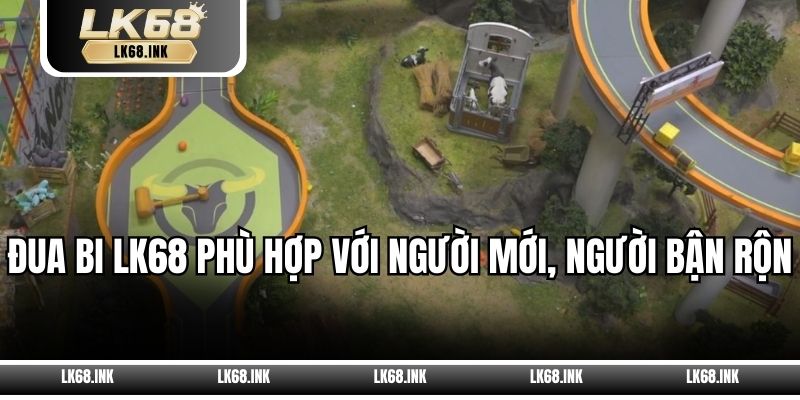 Đua bi LK68 phù hợp với người mới, người bận rộn