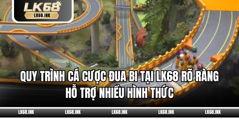 Quy trình cá cược đua bi tại LK68 rõ ràng hỗ trợ nhiều hình thức